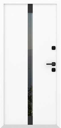 Входные двери Металюкс серии Boston модель AG6050 (black)