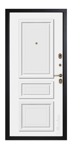 Входные двери Металюкс  серии: Статус модель: М669