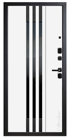 Входные двери Металюкс серии: Статус модель: М658