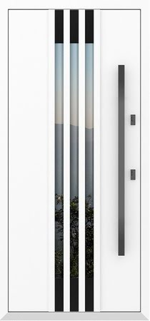 Входные двери Металюкс серии Boston модель AG6119 (black)